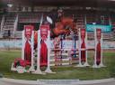 Caballo castrado Silla Franc&eacute;s En venta 2020 Alaz&aacute;n por quarnac du mesnil