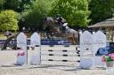 Yegua Trakehner En venta 2016 Negro por SIR SANSIBAR