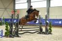 Caballo castrado PFS Poni Fran&ccedil;&eacute;s de Silla En venta 2021 Bayo por Eye Catcher de Lourcq