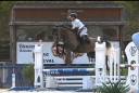 Yegua Silla Franc&eacute;s En venta 2022 Tordo por Cooper VD Heffnick 