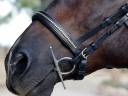 Muserola clincher Lazypony / Clincher noseband Lazypony