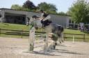 Caballo castrado PFS Poni Fran&ccedil;&eacute;s de Silla En venta 2020 Tordo