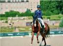 Yegua Hannoveriano En venta 2016 Alaz&aacute;n por dream of glory