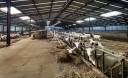 Explotaci&oacute;n agr&iacute;cola En venta Vend&eacute;e