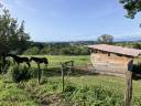 Granja ecuestre En venta R&oacute;dano
