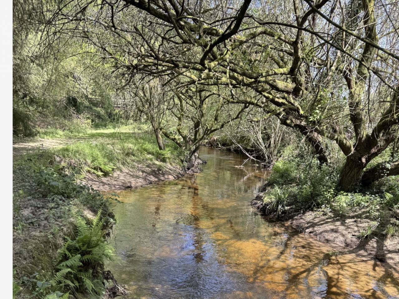 Propiedad ecuestre En venta Morbihan