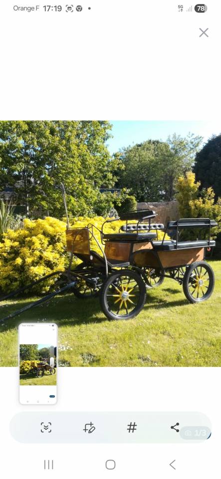 Coche enganches - Calesa - Otra marca - Wolf 