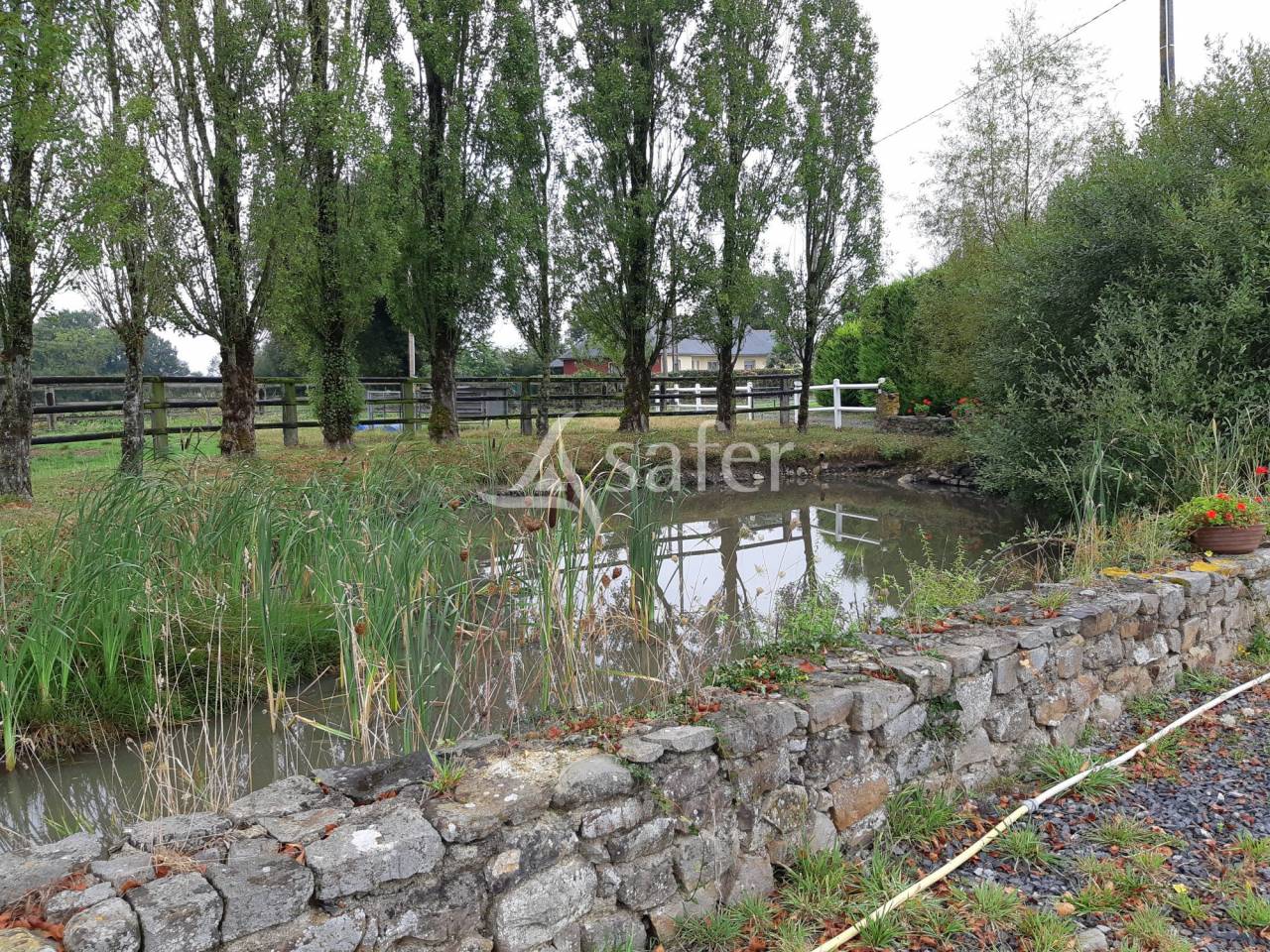 Explotaci&oacute;n ovina En venta Mayenne