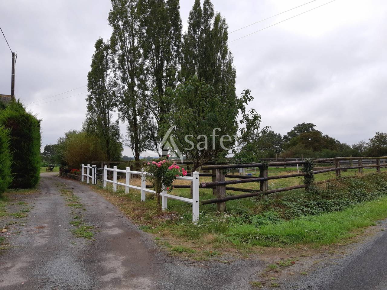 Explotaci&oacute;n ovina En venta Mayenne
