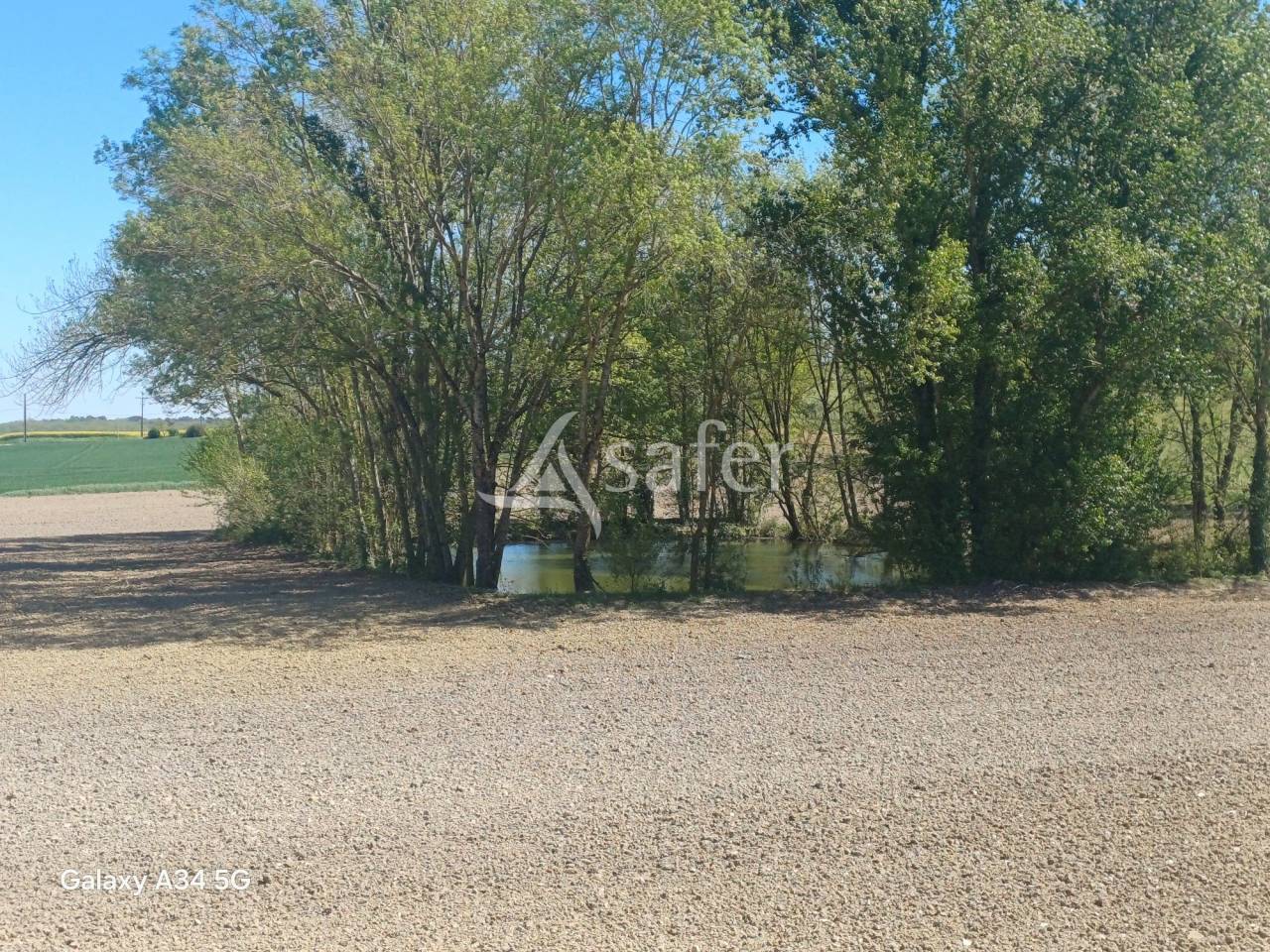 Explotaci&oacute;n agr&iacute;cola En venta Lot y Garona