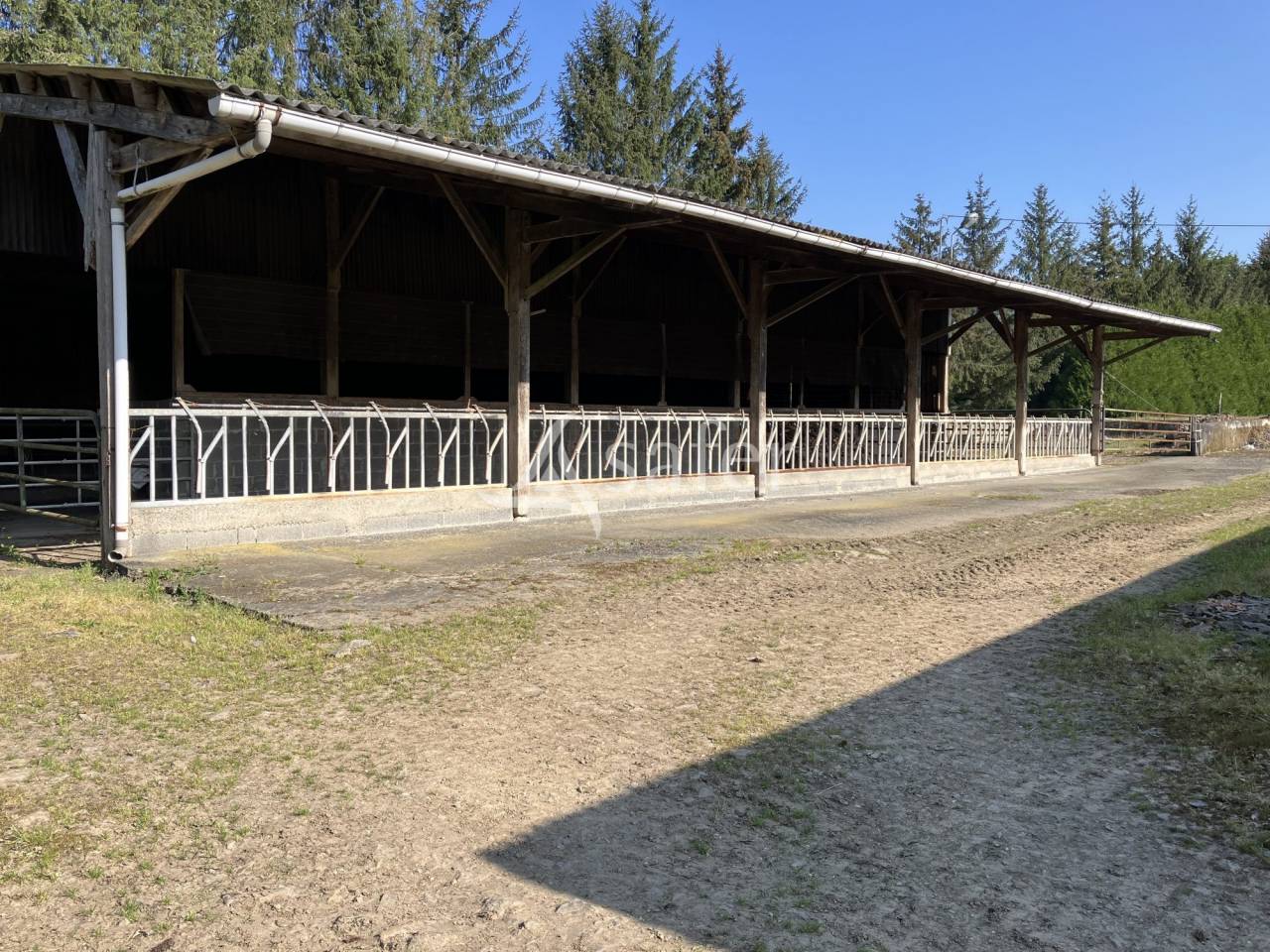 Propiedad ecuestre En venta Mayenne