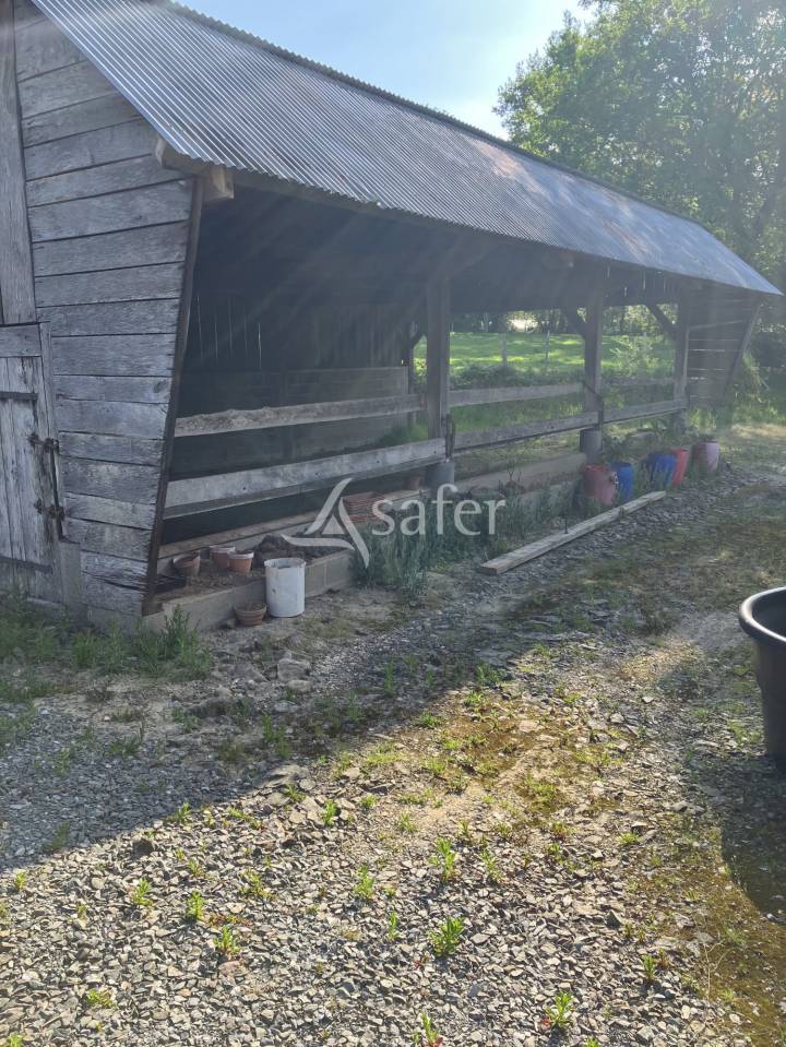 Propiedad ecuestre En venta Mayenne