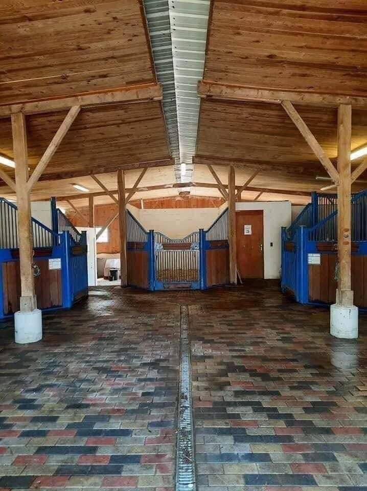 Propiedad ecuestre En venta Gironda