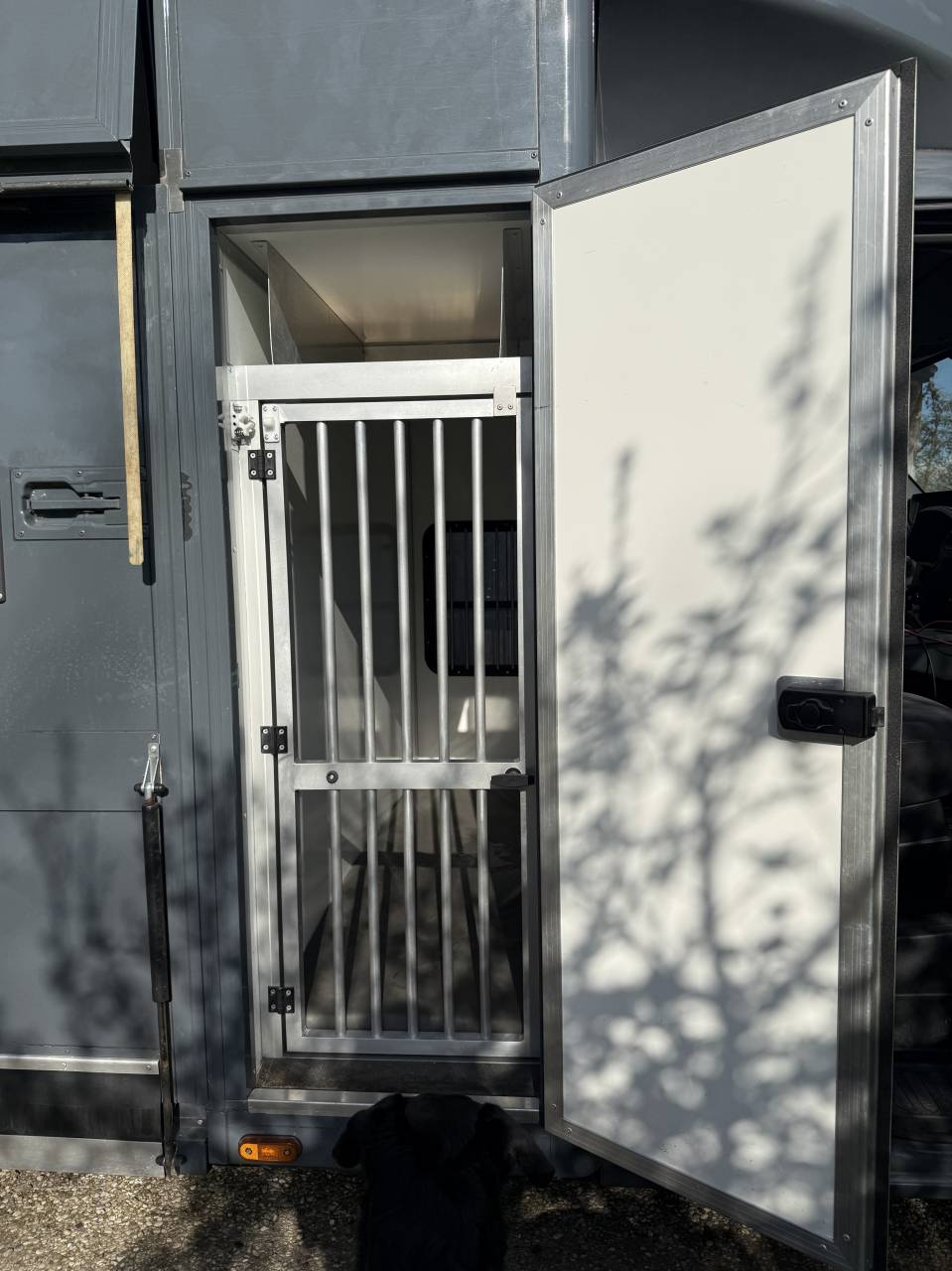 Furgoneta para caballos Renault Master 2022 De segunda mano