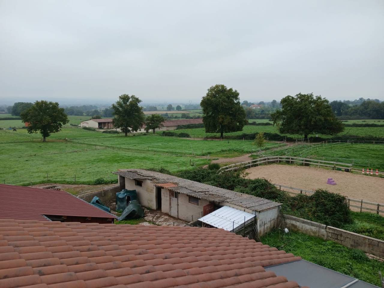 Granja ecuestre En venta Loira