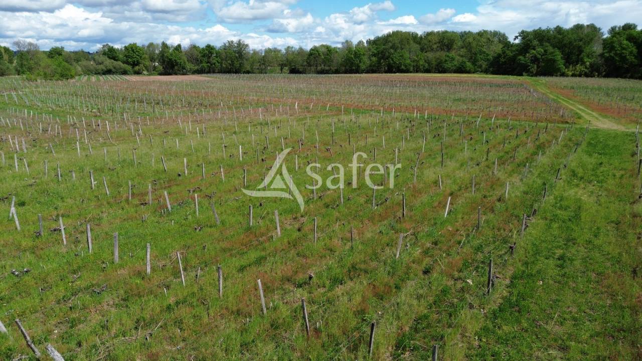 Propiedad rural En venta Gironda