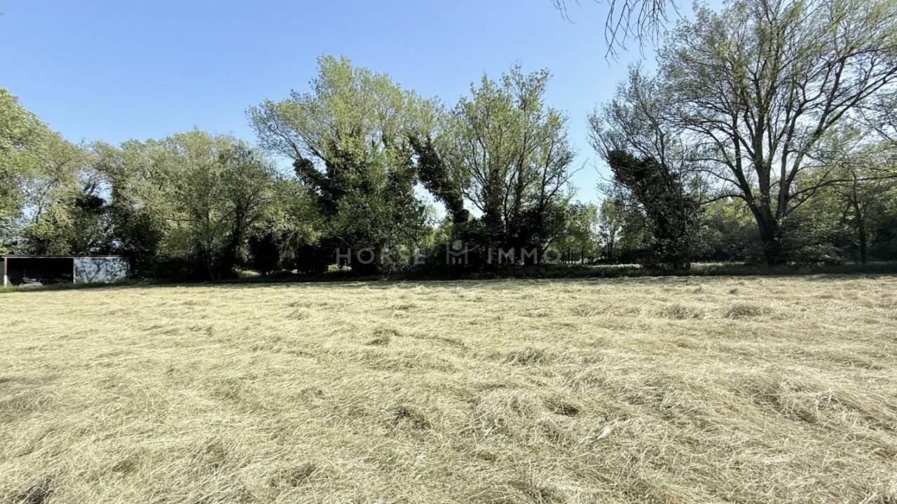 Propiedad ecuestre En venta Bocas del R&oacute;dano