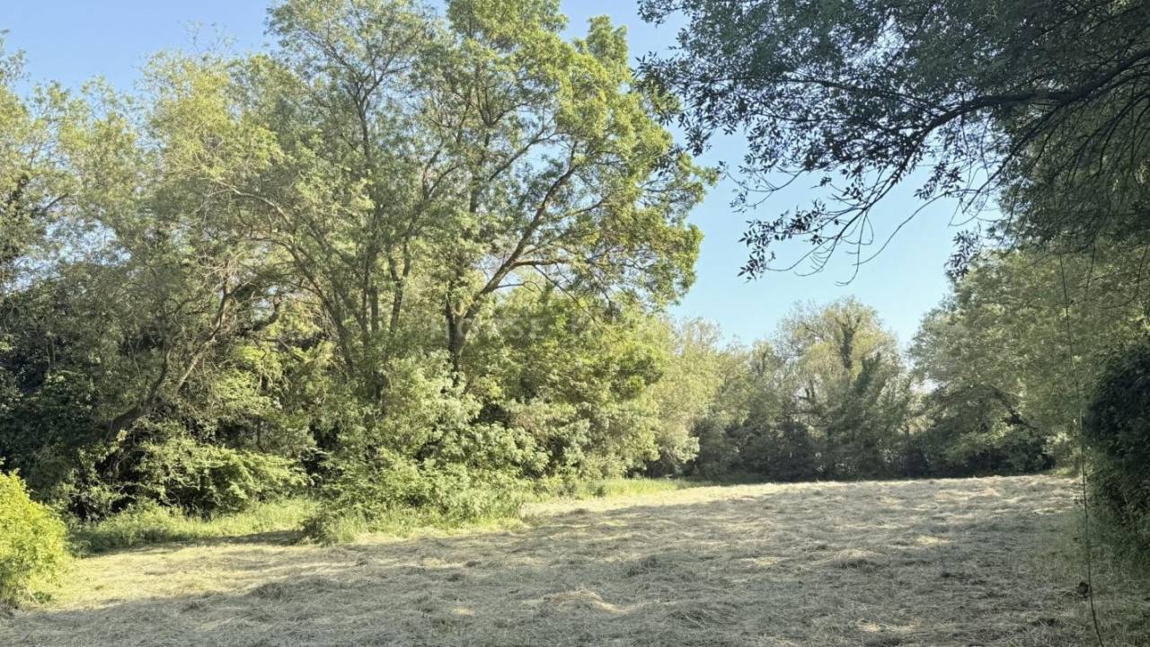 Propiedad ecuestre En venta Bocas del R&oacute;dano