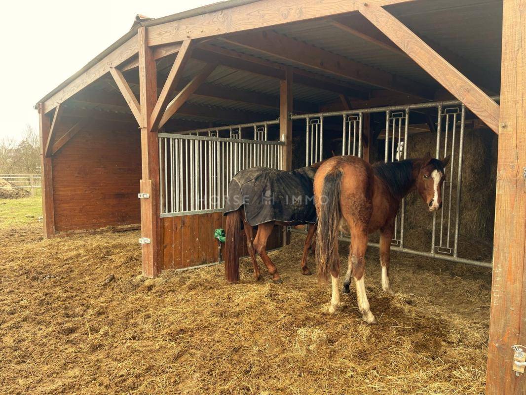 Propiedad ecuestre En venta Yvelines