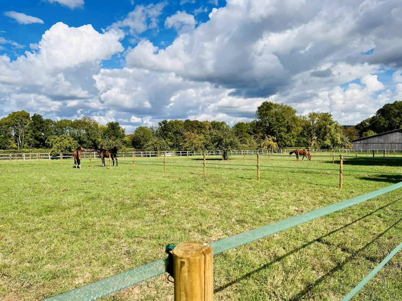 Cuadra de propietarios En venta Valle Del Oise