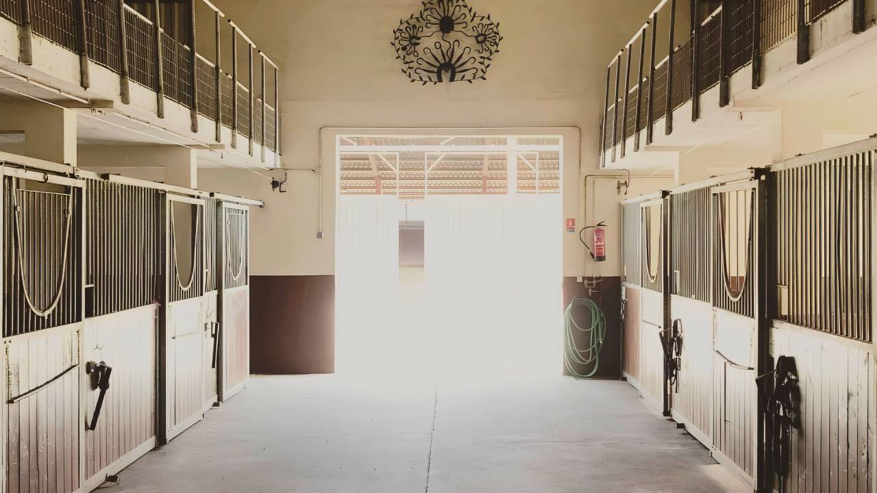 Propiedad ecuestre En venta Tarn