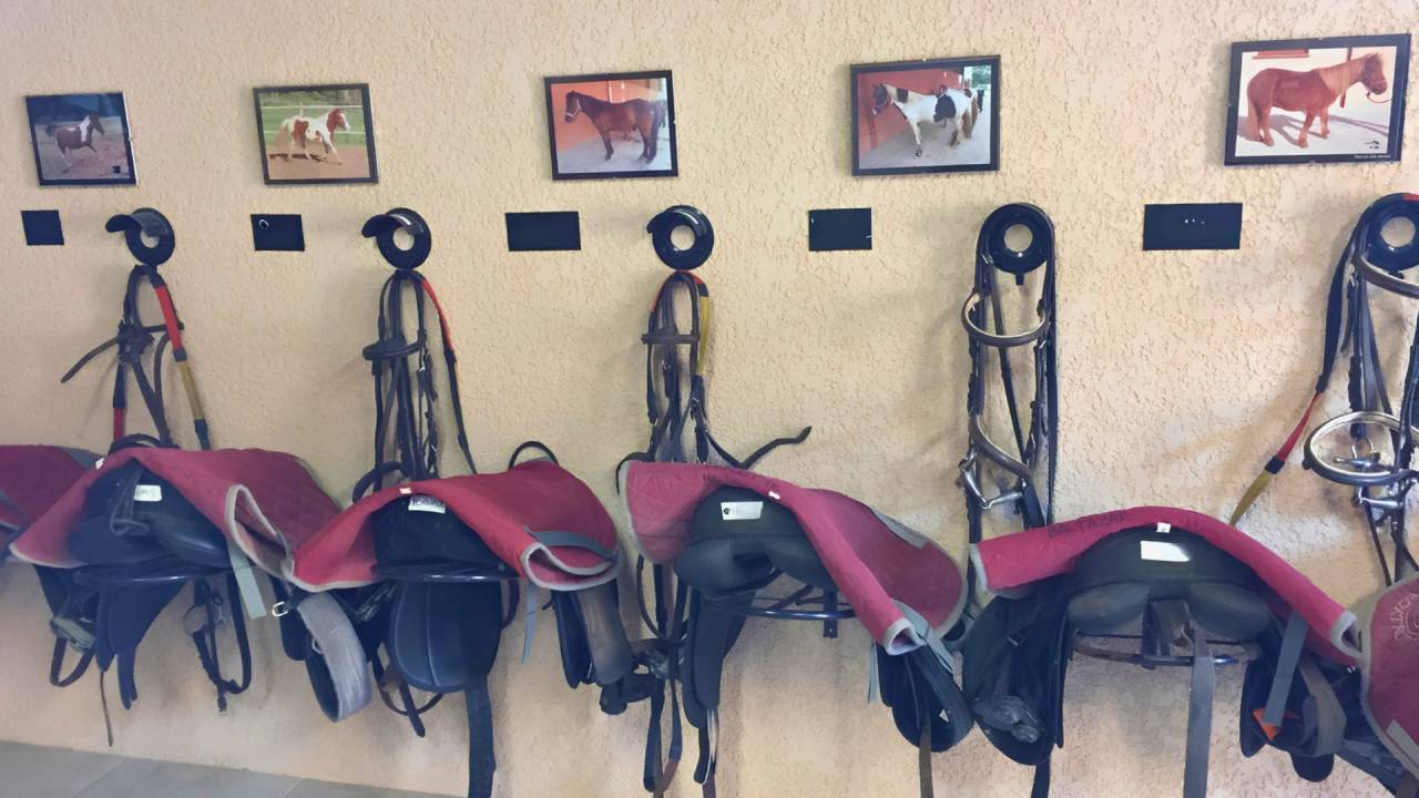 Propiedad ecuestre En venta Tarn