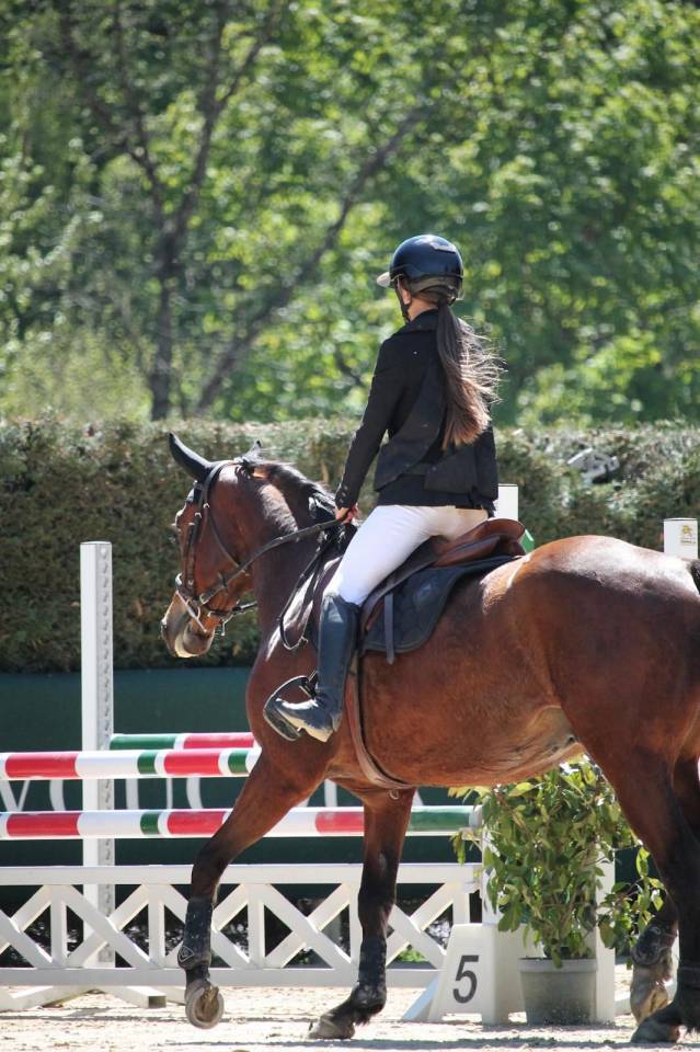 Caballo castrado Silla Franc&eacute;s En venta 2021 Bayo por shaloubet eygalieres