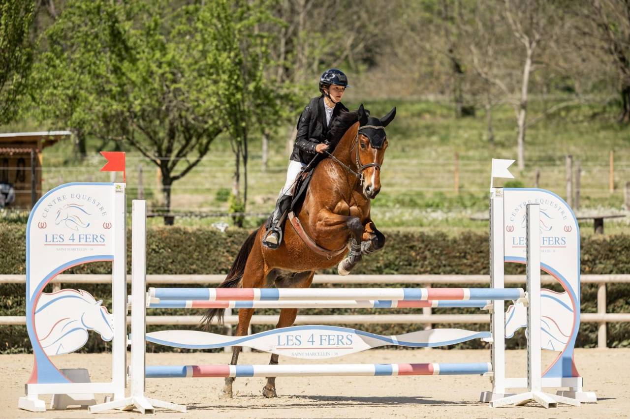 Caballo castrado Silla Franc&eacute;s En venta 2021 Bayo por shaloubet eygalieres