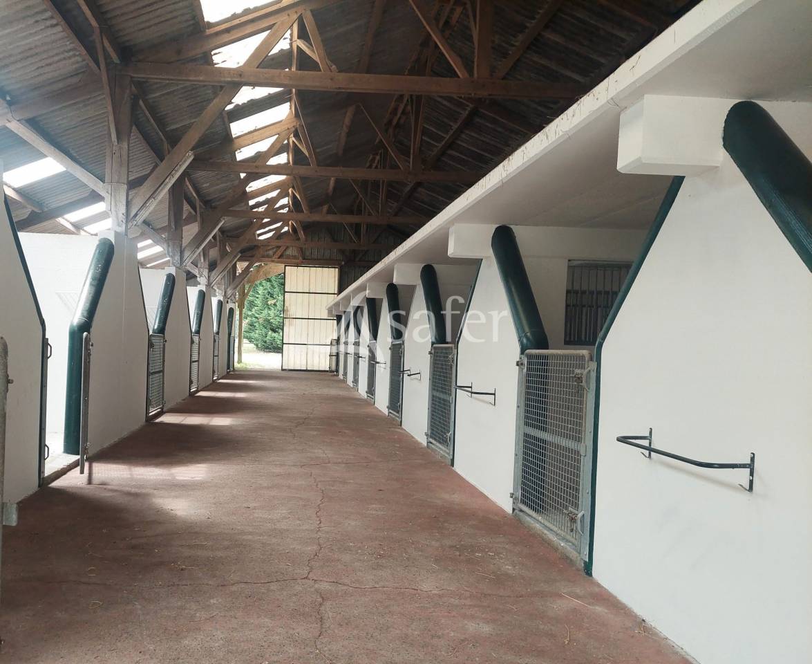 Propiedad ecuestre En venta Loira Atl&aacute;ntico