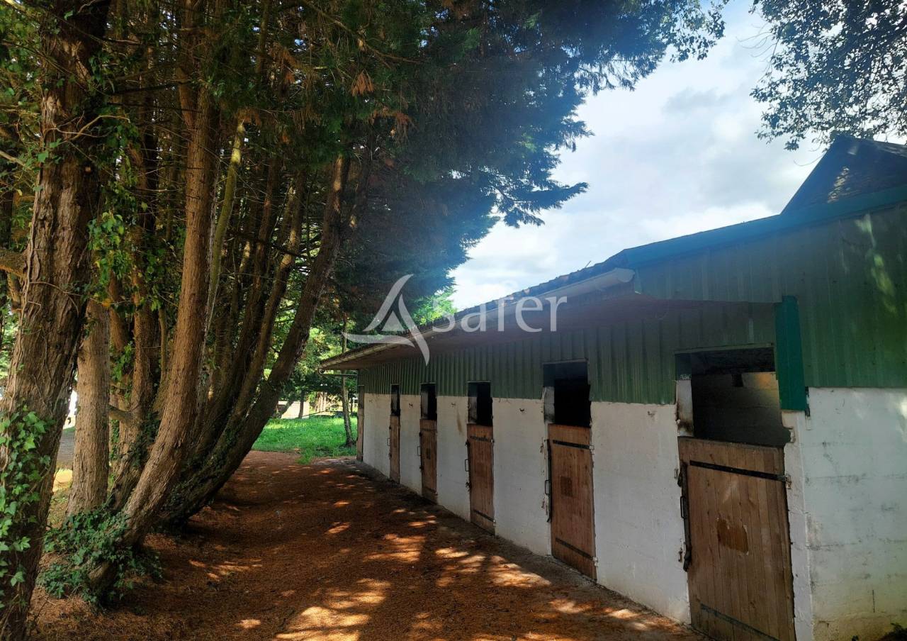 Propiedad ecuestre En venta Loira Atl&aacute;ntico