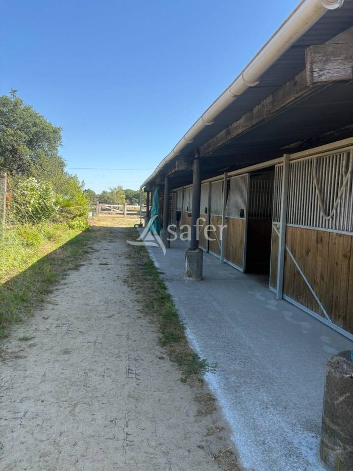 Propiedad ecuestre En venta Loira Atl&aacute;ntico