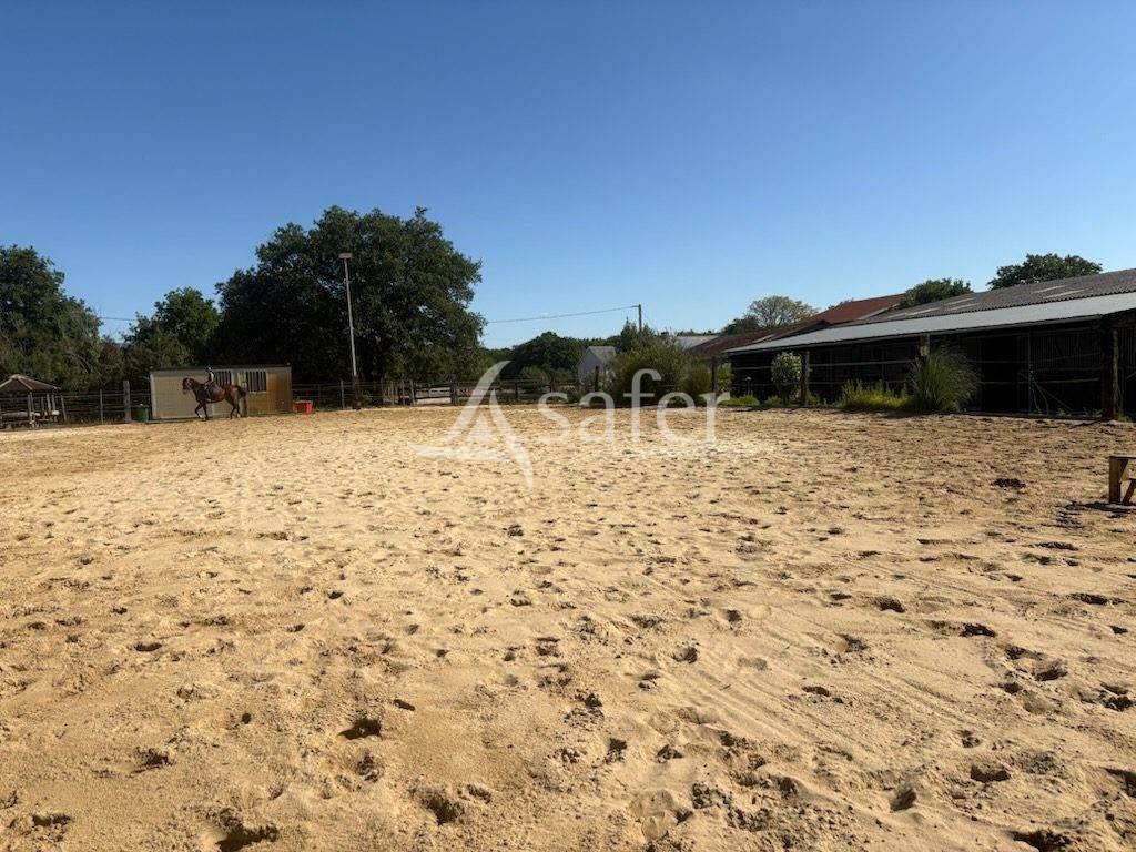 Propiedad ecuestre En venta Loira Atl&aacute;ntico