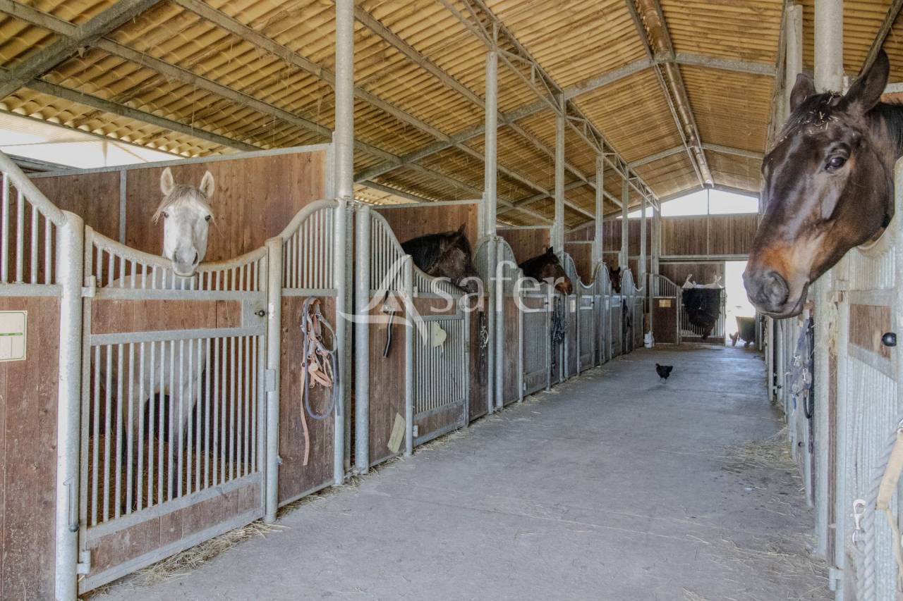 Propiedad ecuestre En venta Vend&eacute;e