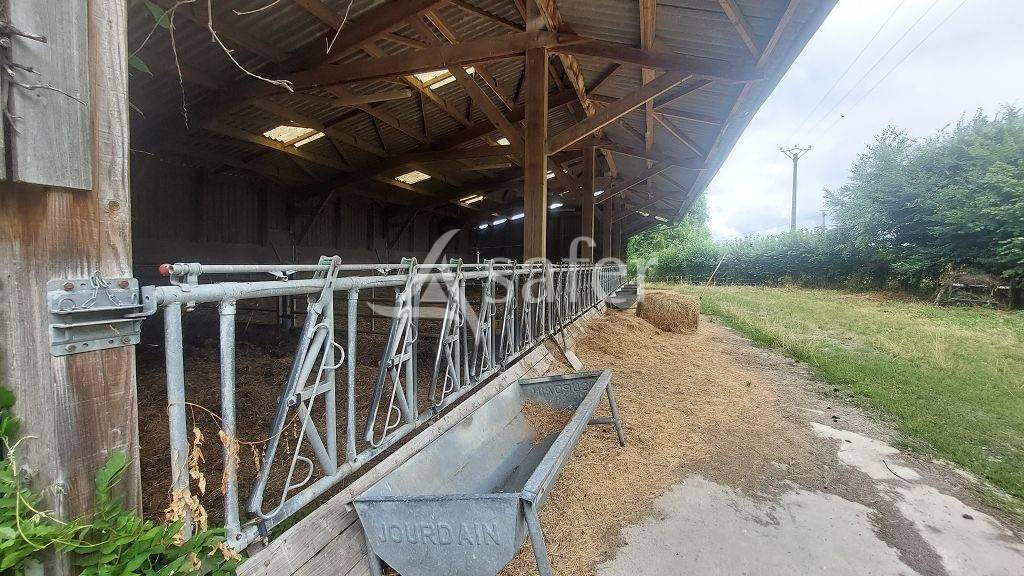 Explotaci&oacute;n ovina En venta Creuse