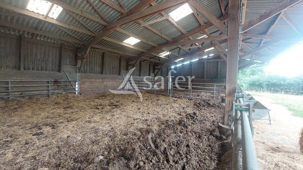 Explotaci&oacute;n ovina En venta Creuse