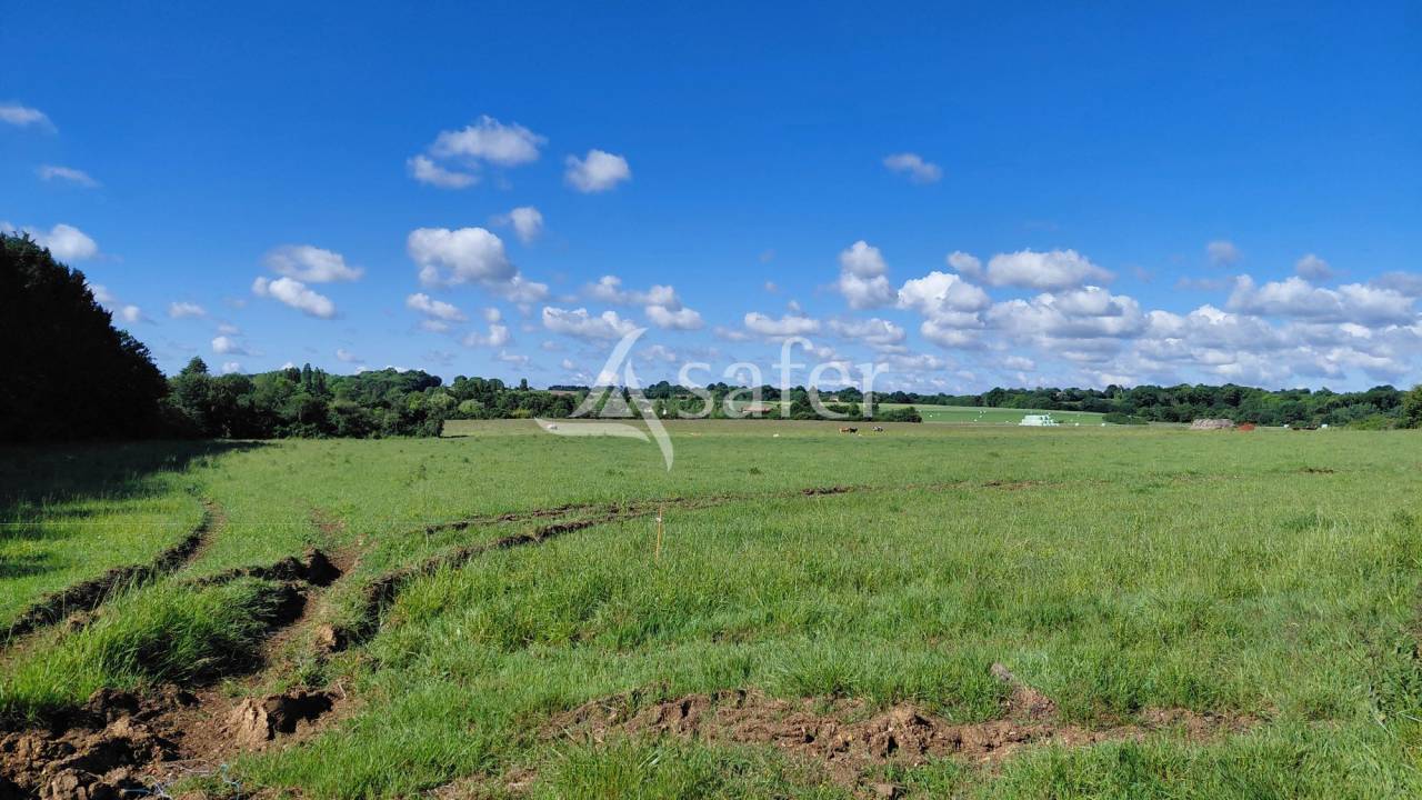 Explotaci&oacute;n ovina En venta Deux-S&egrave;vres