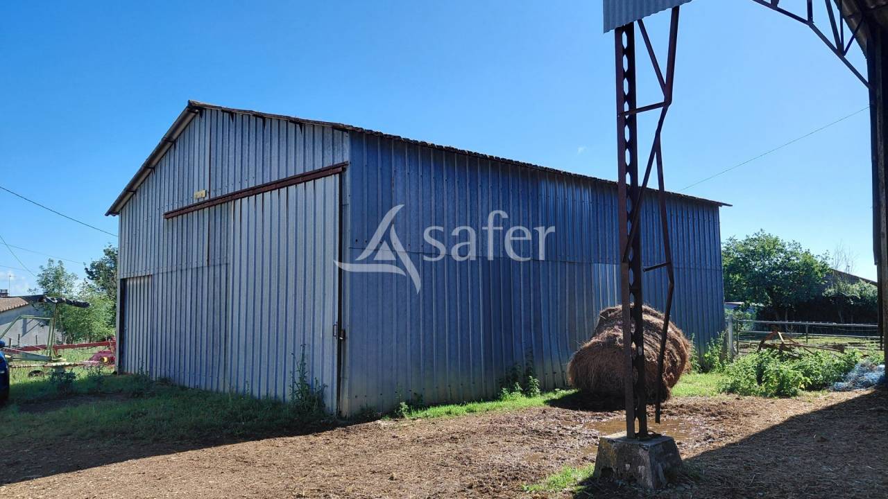 Explotaci&oacute;n ovina En venta Deux-S&egrave;vres