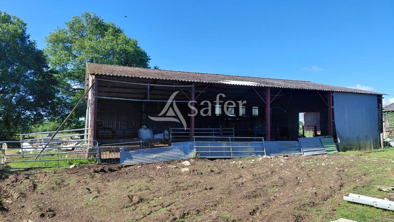 Explotaci&oacute;n ovina En venta Deux-S&egrave;vres
