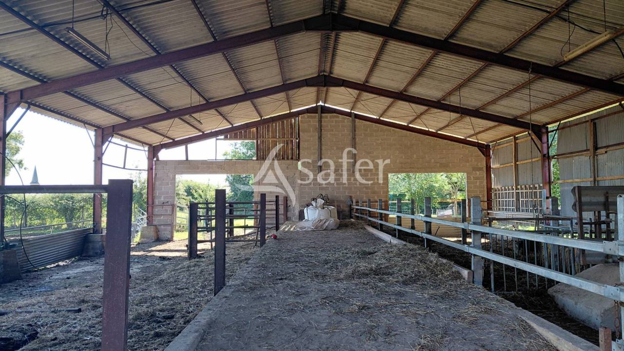 Explotaci&oacute;n ovina En venta Deux-S&egrave;vres