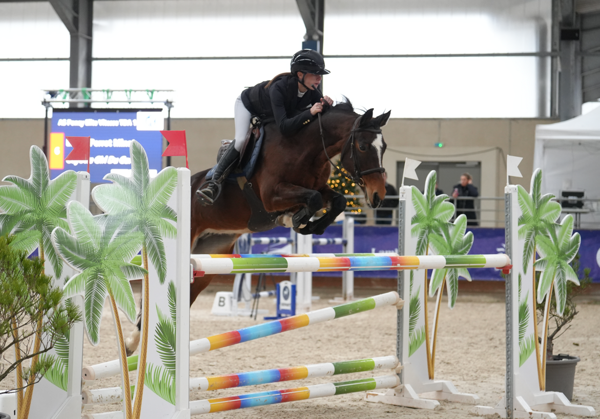 Yegua PFS Poni Fran&ccedil;&eacute;s de Silla En venta 2012 Bayo