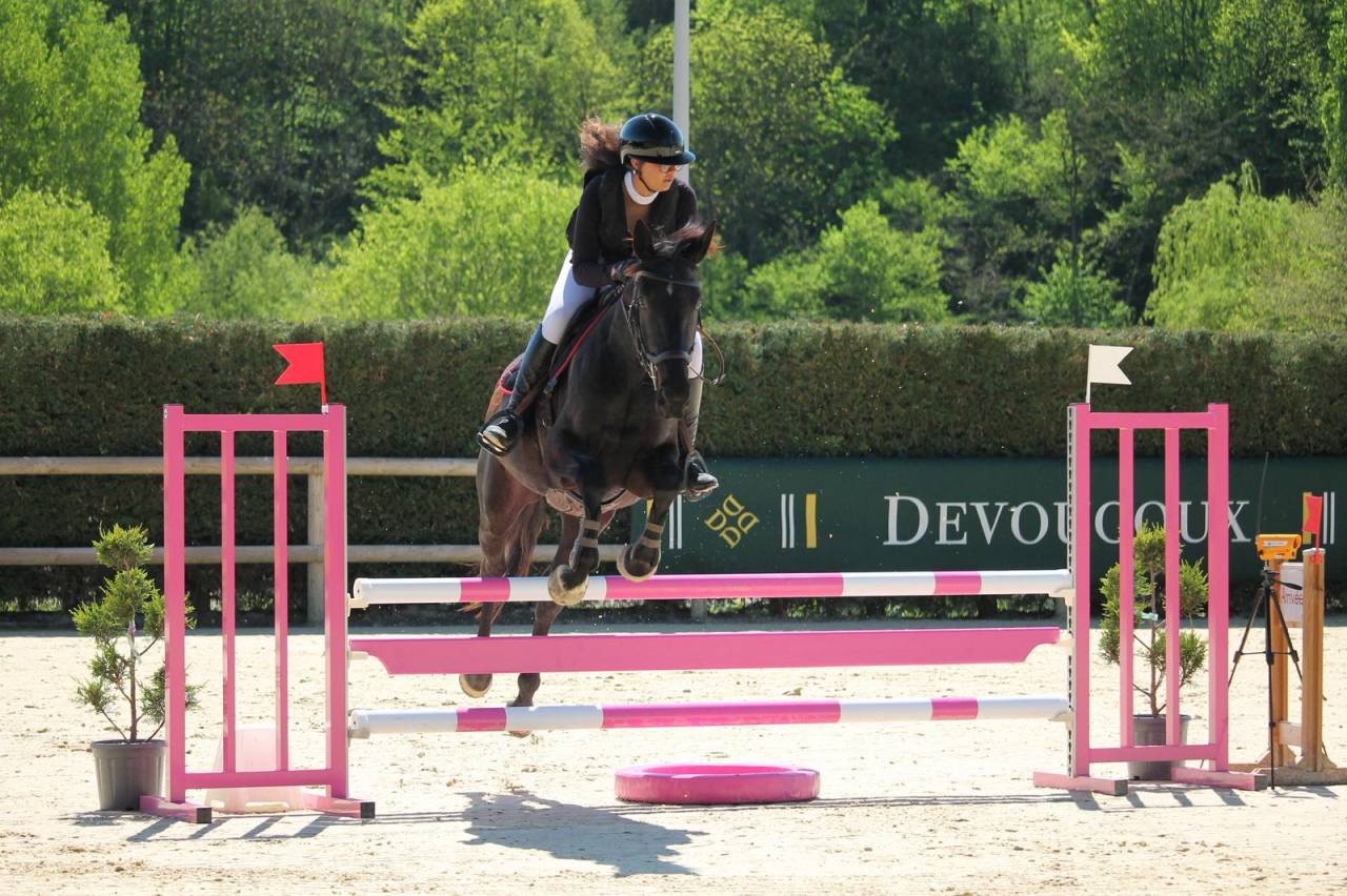 Yegua Silla Franc&eacute;s En venta 2022 Negro por papillon de l'odyssee