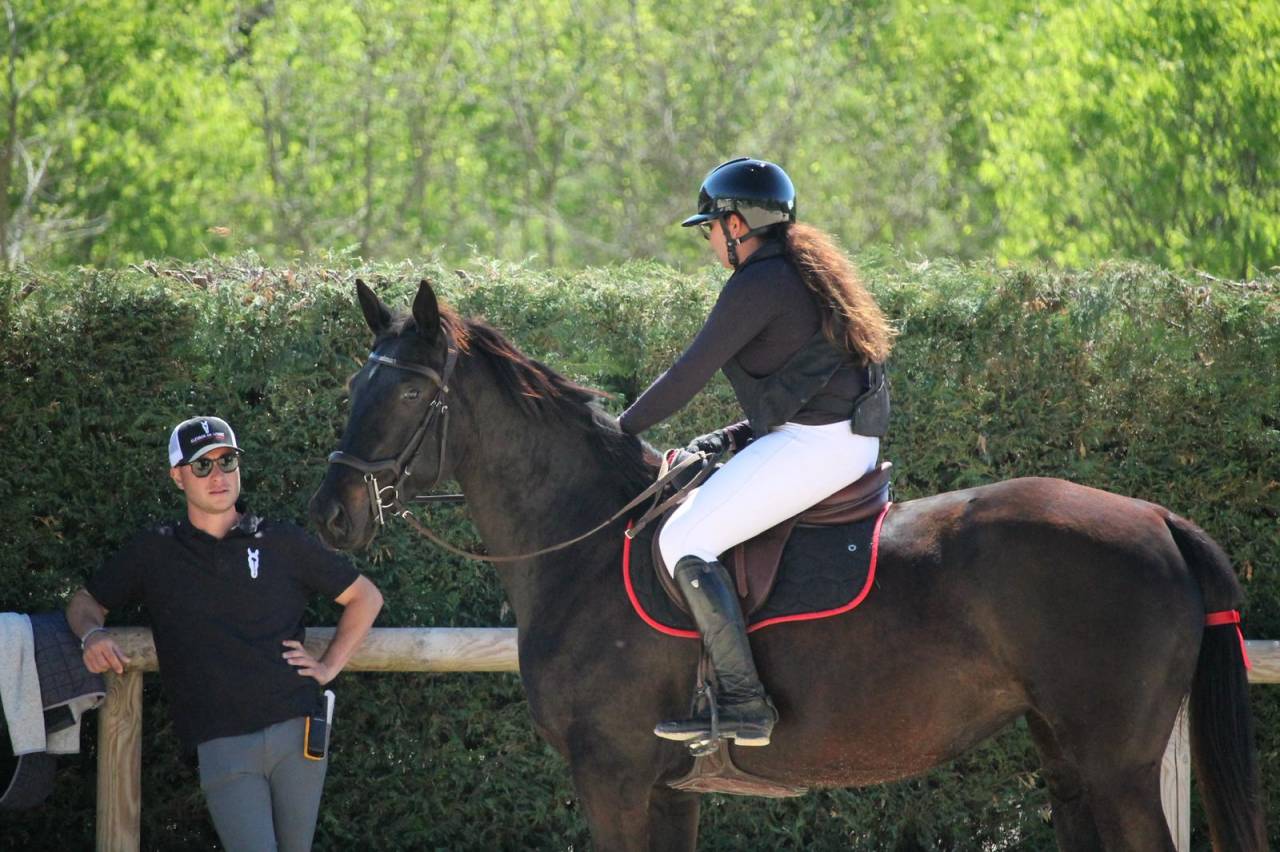Yegua Silla Franc&eacute;s En venta 2022 Negro por papillon de l'odyssee