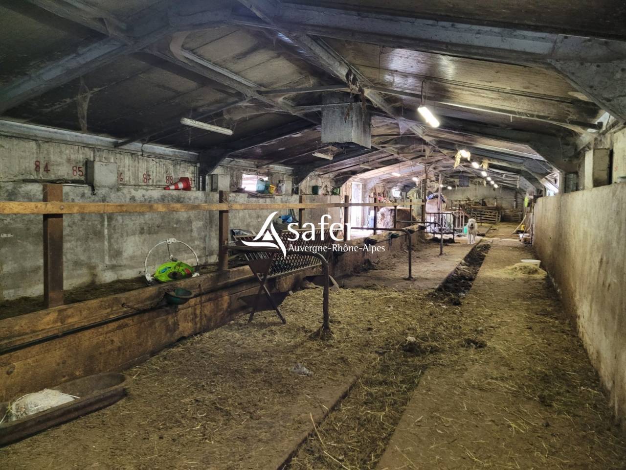 Explotaci&oacute;n agr&iacute;cola En venta Cantal