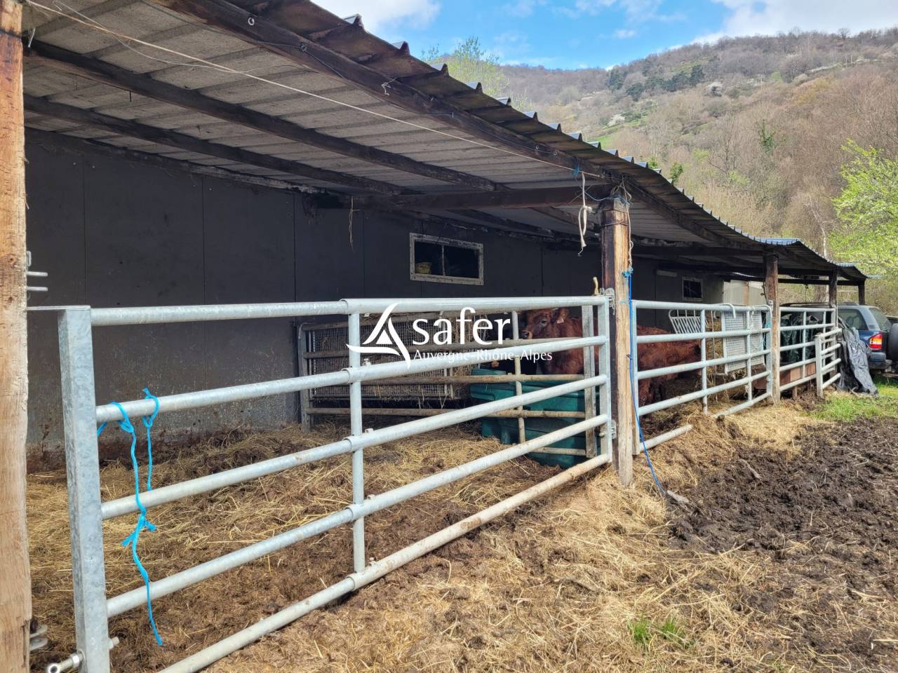 Explotaci&oacute;n agr&iacute;cola En venta Cantal