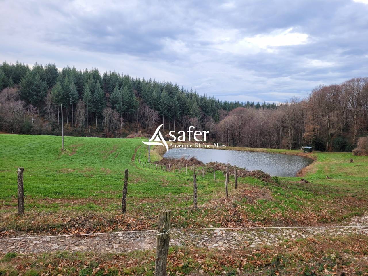 Explotaci&oacute;n lechera En venta Cantal