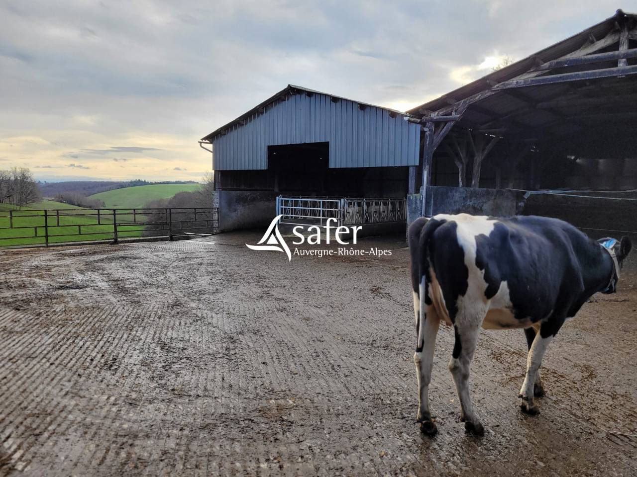 Explotaci&oacute;n lechera En venta Cantal