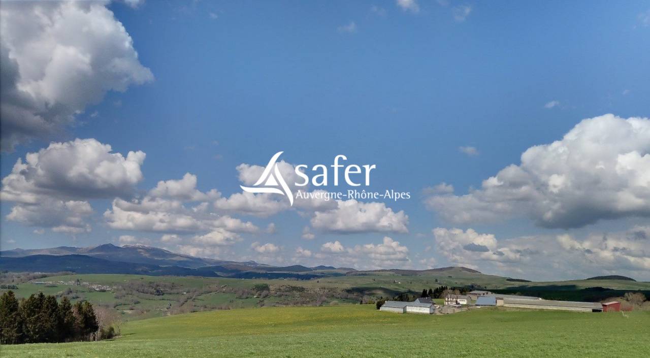 Explotaci&oacute;n lechera En venta Cantal