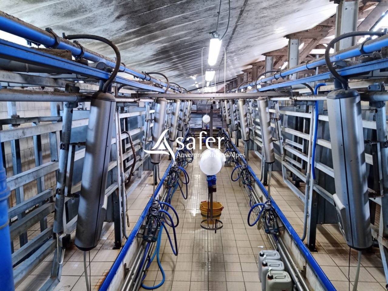 Explotaci&oacute;n lechera En venta Cantal