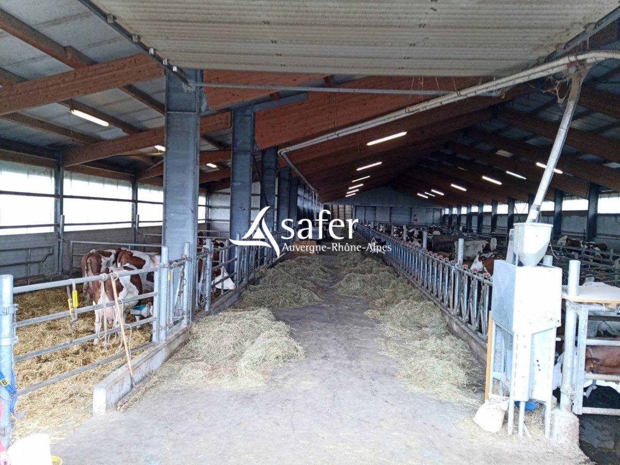 Explotaci&oacute;n lechera En venta Cantal