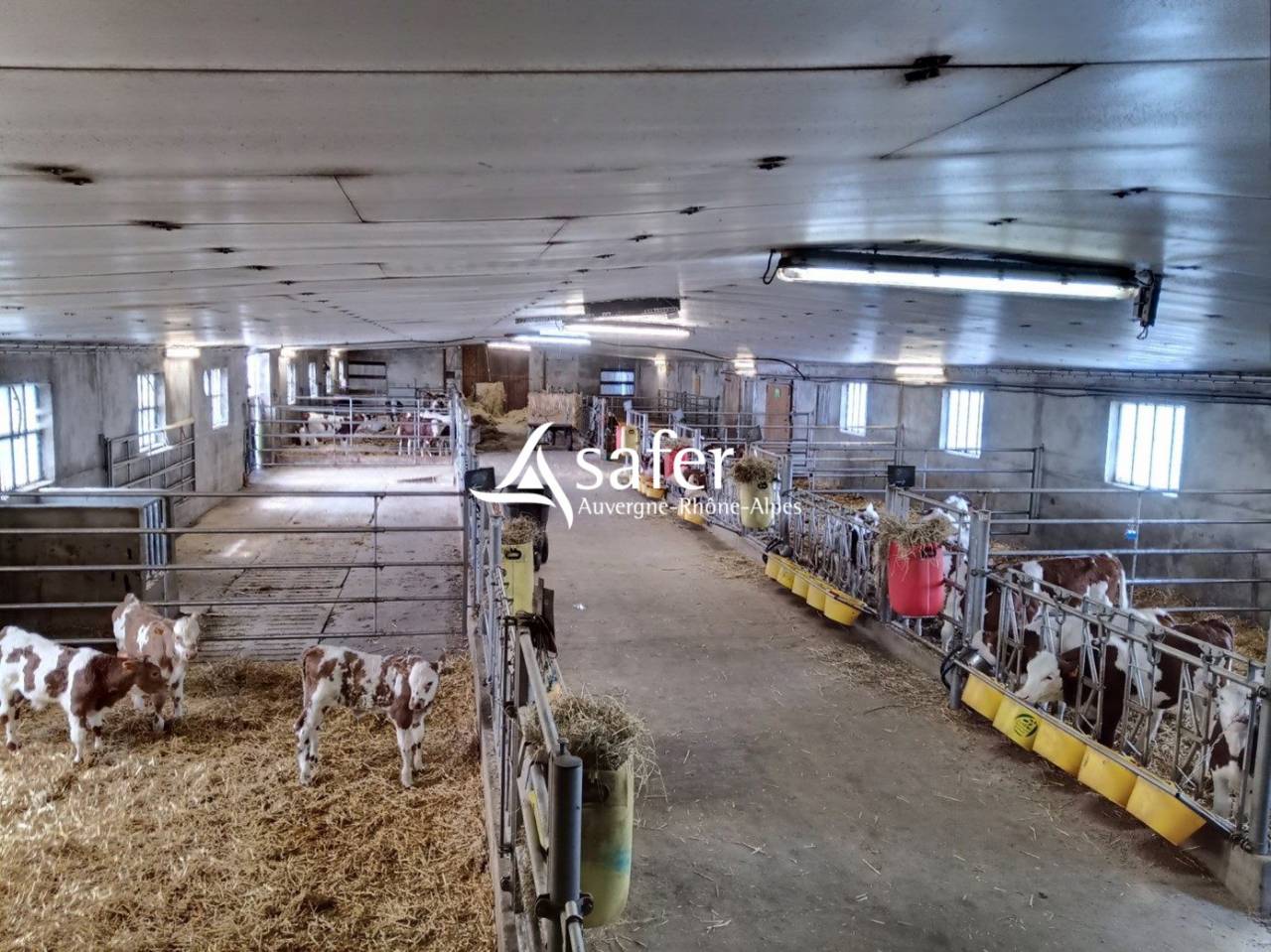Explotaci&oacute;n lechera En venta Cantal
